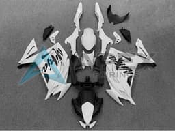 White Black - Kawasaki Ninja650 / Ninja650R (2020-2026) ABS Fairings | Apex Fairings — view 1
