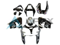 Silver Glossy Black Monster Elf - Kawasaki ZX-9R (2002-2003) ABS Fairings | Apex Fairings — view 1